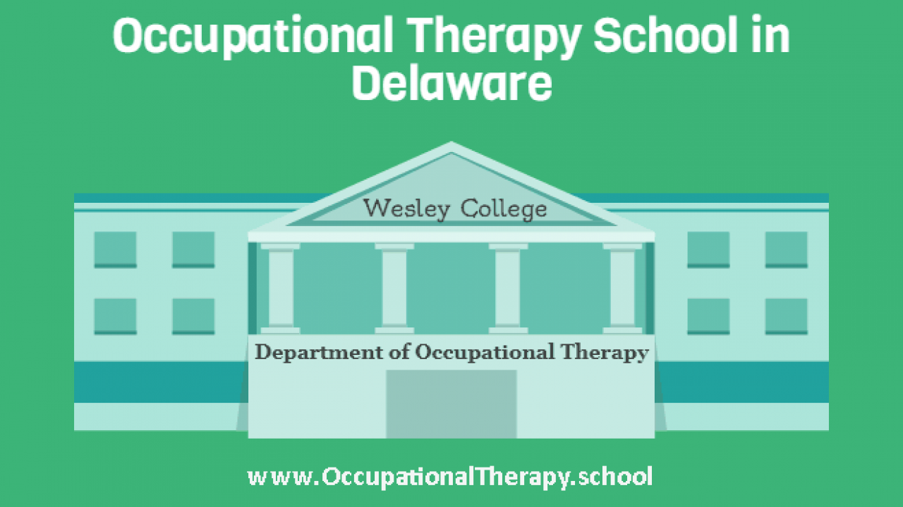 occupational therapy schools near me